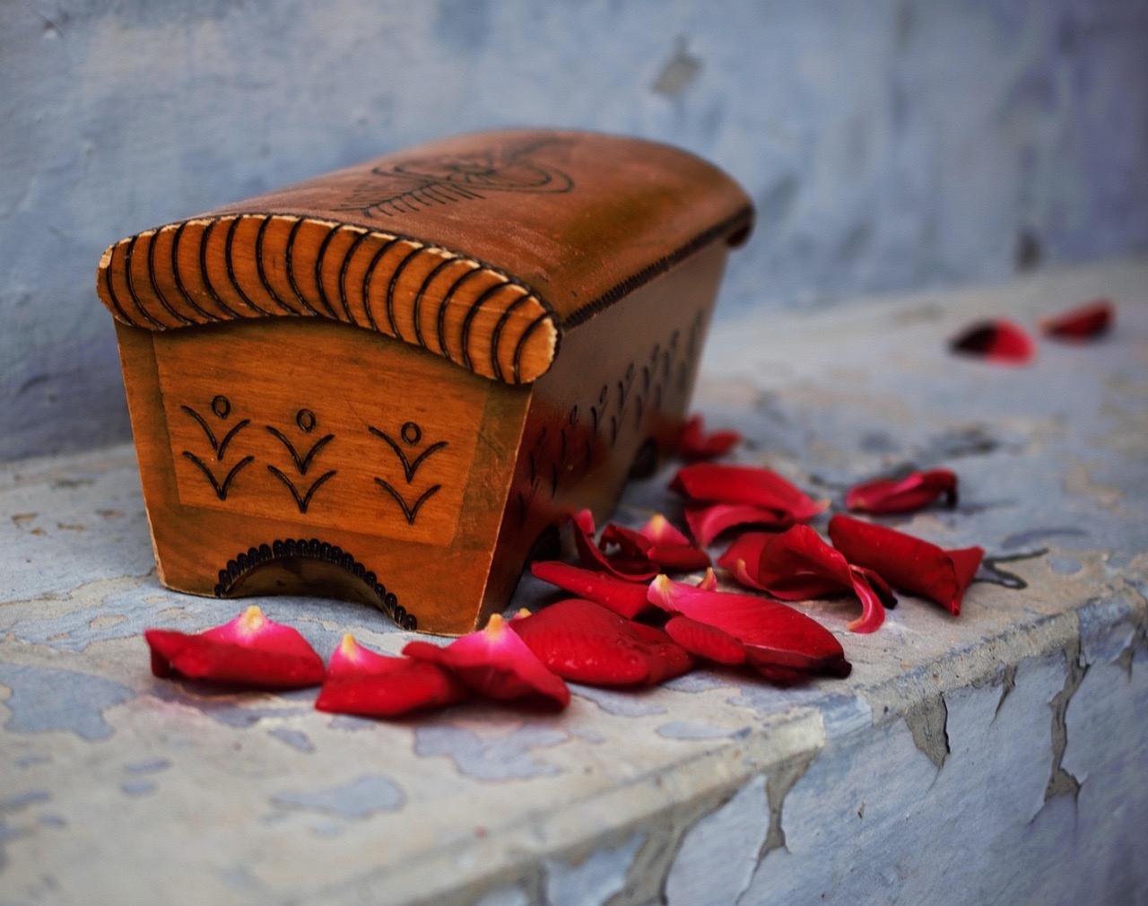 cajas con rosas: ideas elegantes para sorprender